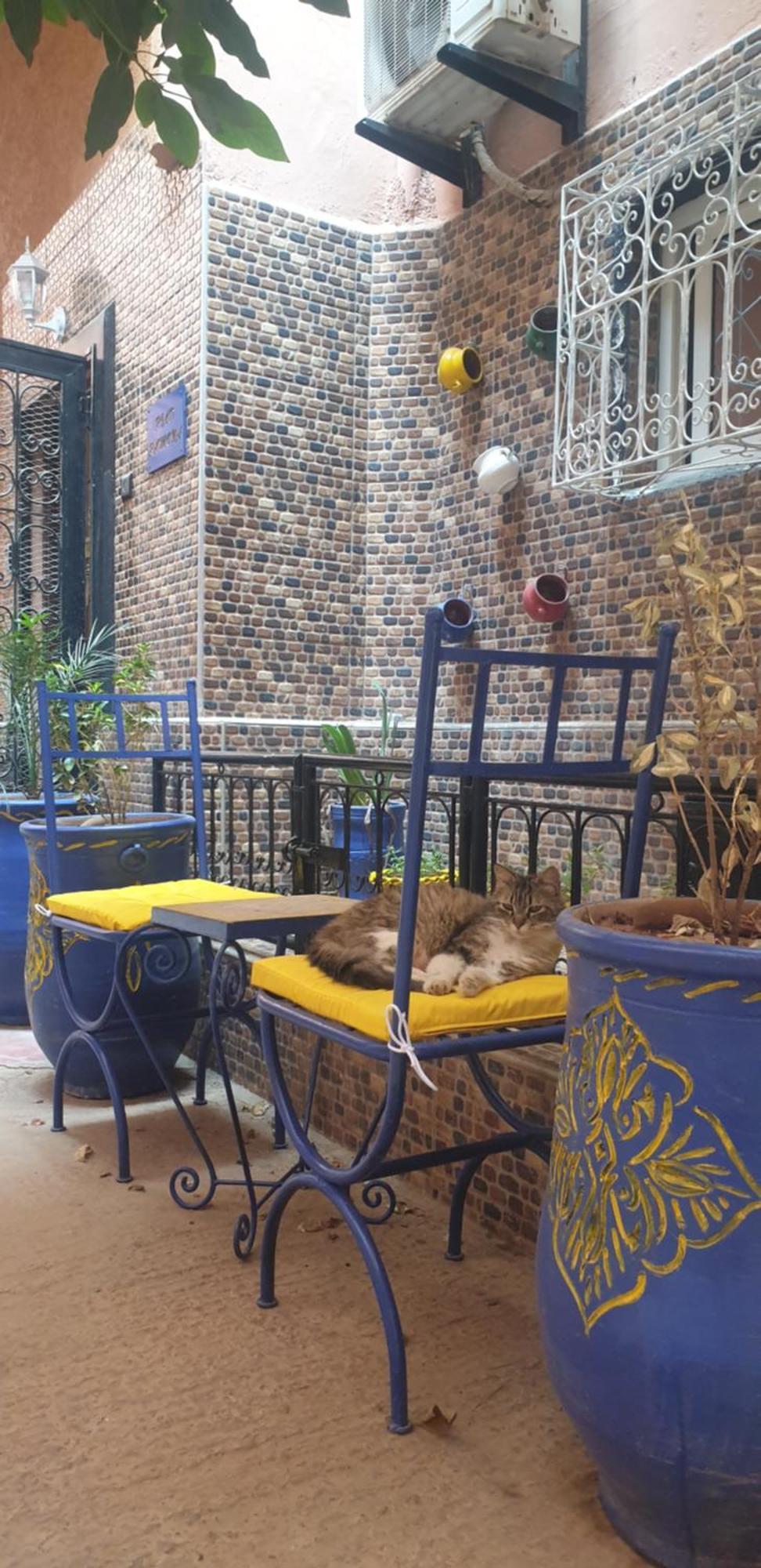 Riad Ramona Lqariya Seyaheya Marrakesh Exteriör bild